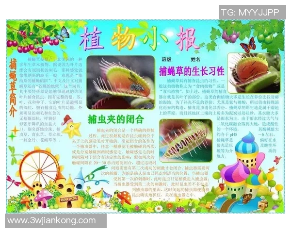 科学网球技术训练的创新方法与实用技巧探讨